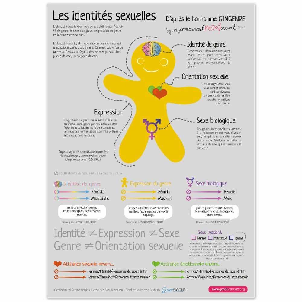 Poster pédagogique : Bonhomme GINGENRE – Image 7