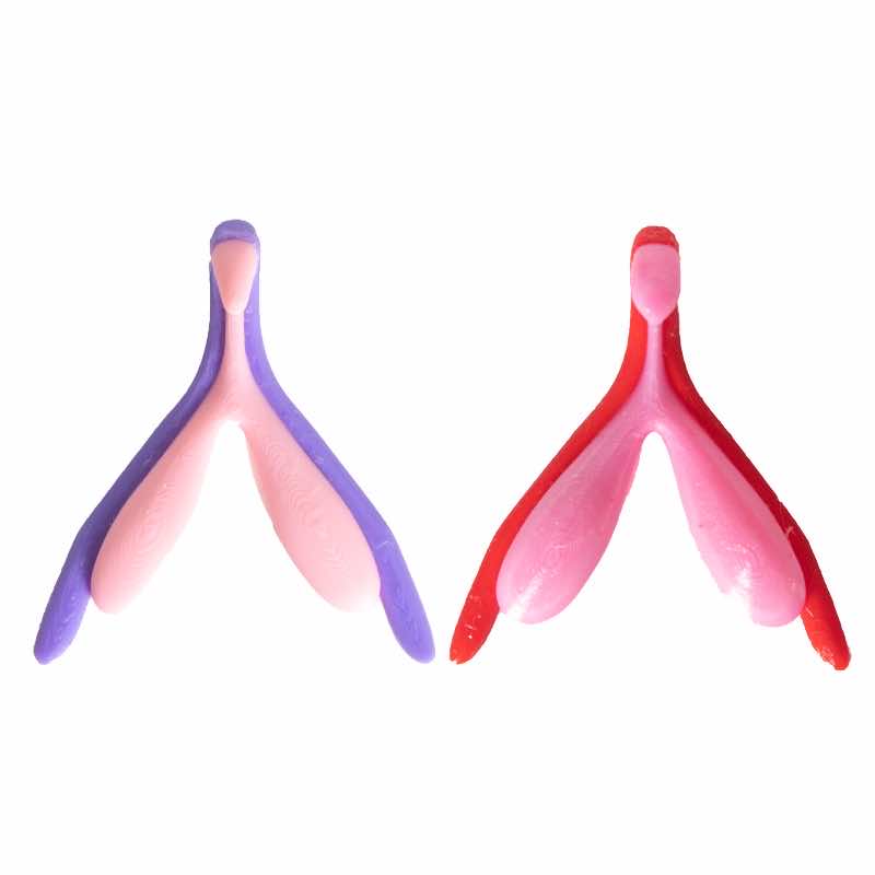 Kit Clitoris – Repos / Érection