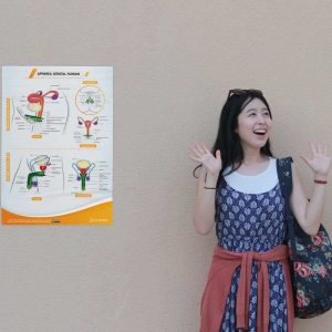 Poster « Appareil génital humain » en papier semi-brillant qualité premium