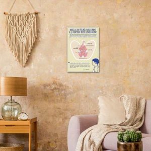 Poster « Muscles du périnée masculin » en papier semi-brillant de qualité supérieure