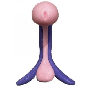 Pénis au repos - Rose/violet PLA+ (rigide)
