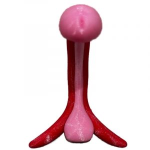 Pénis au repos - Rose/Rouge TPU flexible