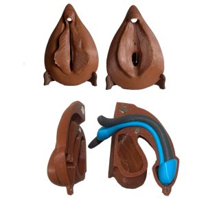 Kit d’anatomie comparée complet : clitoris, pénis, vulves et enveloppe externe