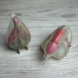 Ensemble pédagogique vulve + verge + clitoris + penis en résine rigide