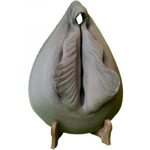 Vulve (repos) – Modèle 3D - Varioshore Prosthetic Medium Brown
