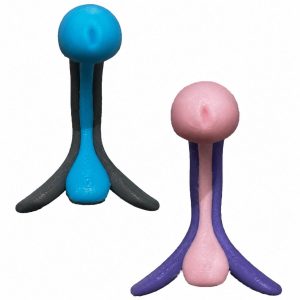 Modèle pédagogique bicolore : rose et violet, ou bleu et gris