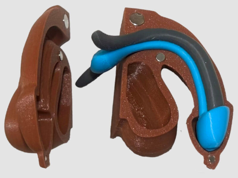 Kit sexe masculin complet (repos) – Structures internes + enveloppe externe – Image 8