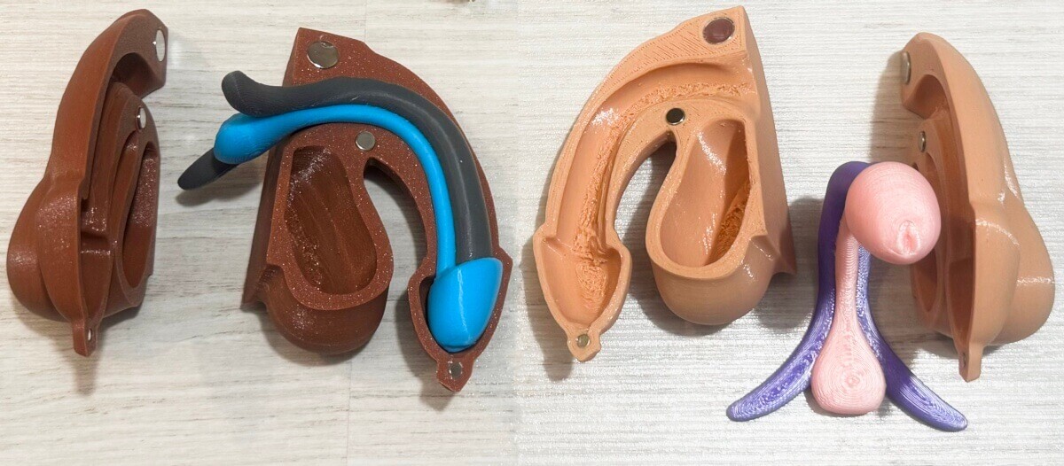 Kit sexe masculin complet (repos) – Structures internes + enveloppe externe – Image 9