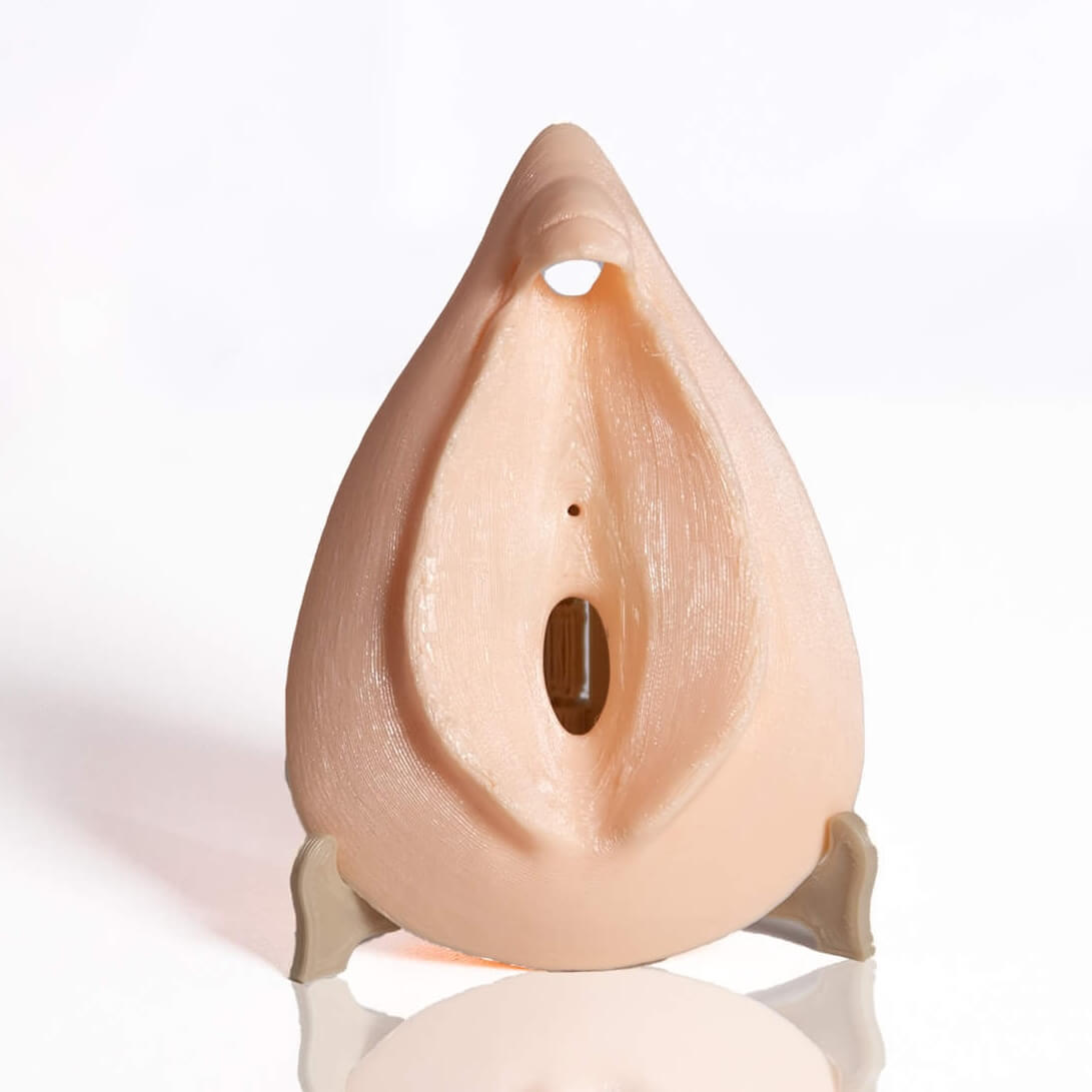 Vulve (état d’excitation) – Modèle 3D - TPU beige 95A