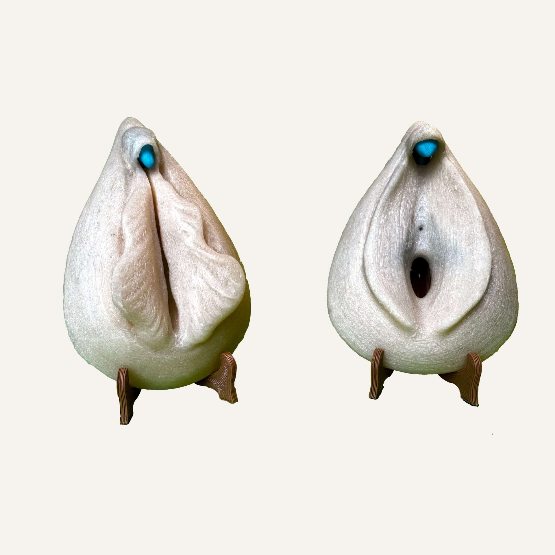 Kit sexe féminin complet – clitoris & vulve (repos / excitation) – Image 8