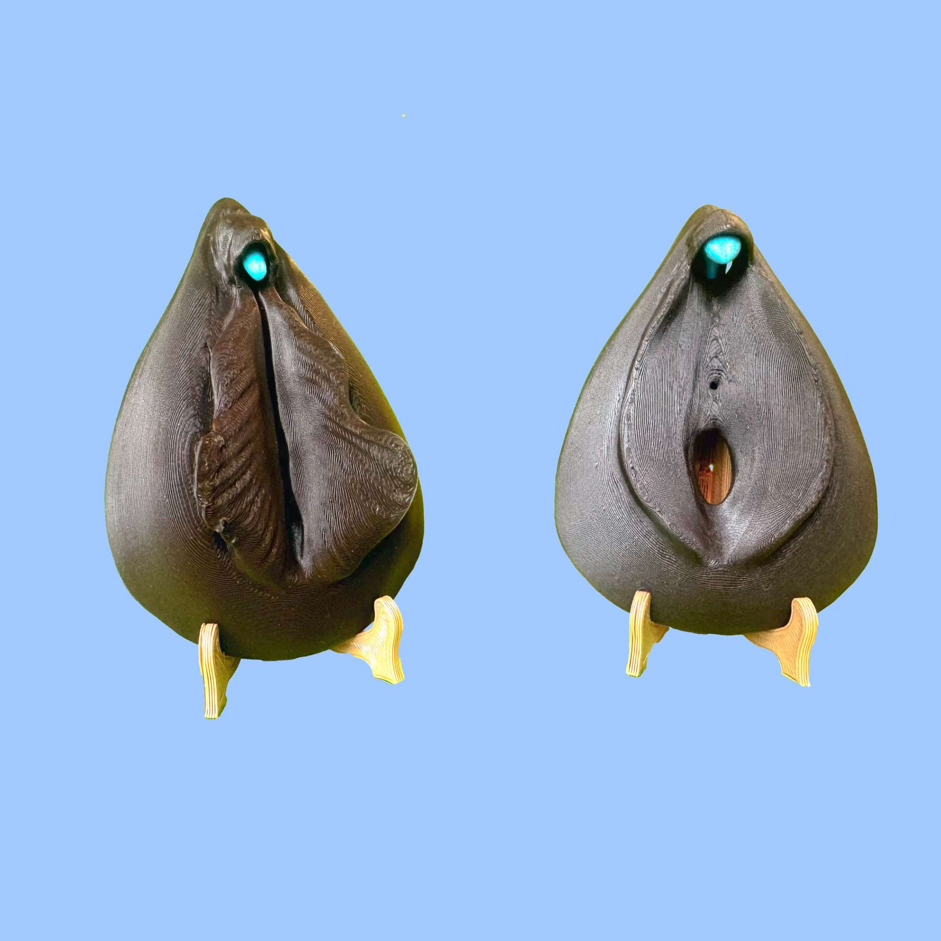 Kit sexe féminin complet – clitoris & vulve (repos / excitation) – Image 9