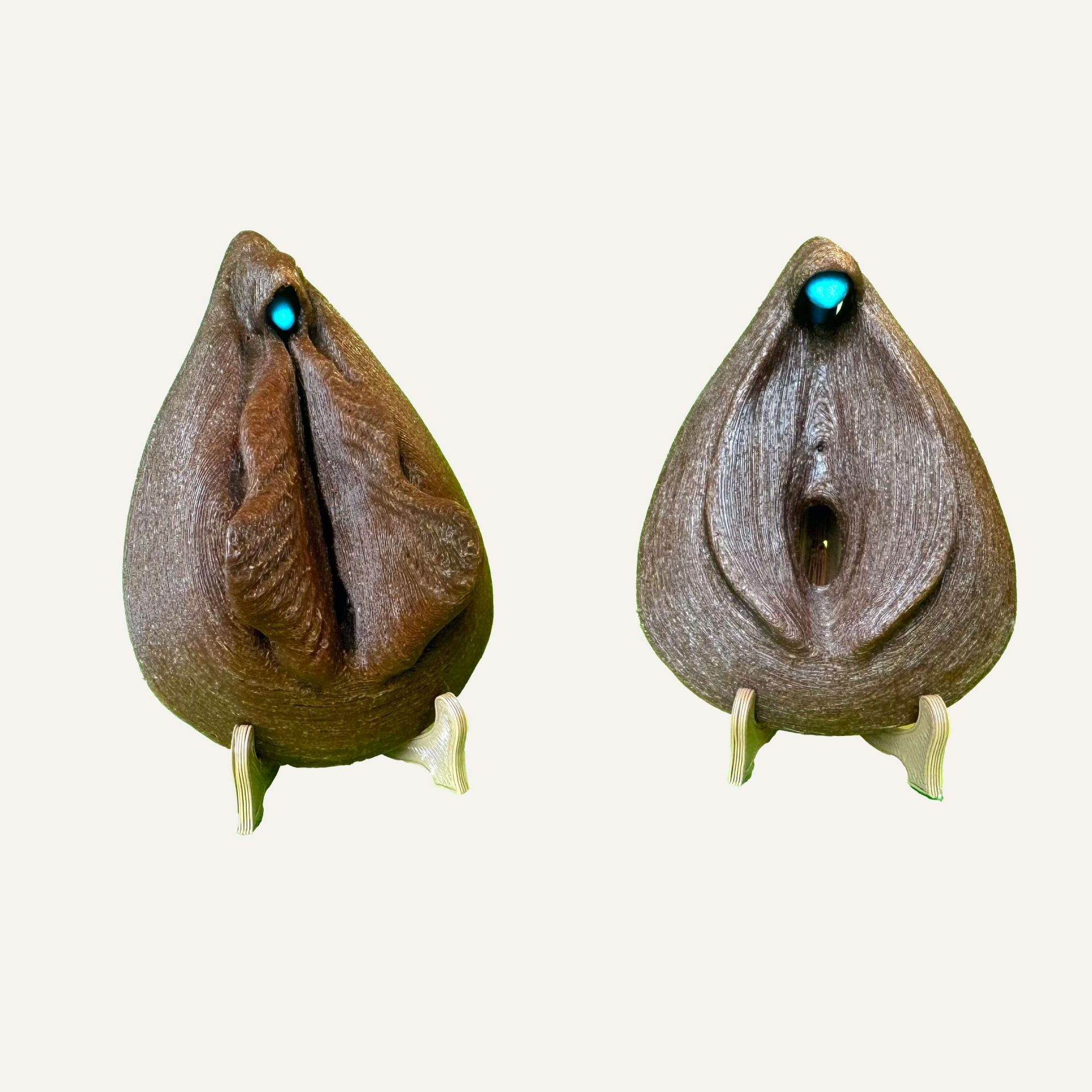 Kit sexe féminin complet – clitoris & vulve (repos / excitation) – Image 11