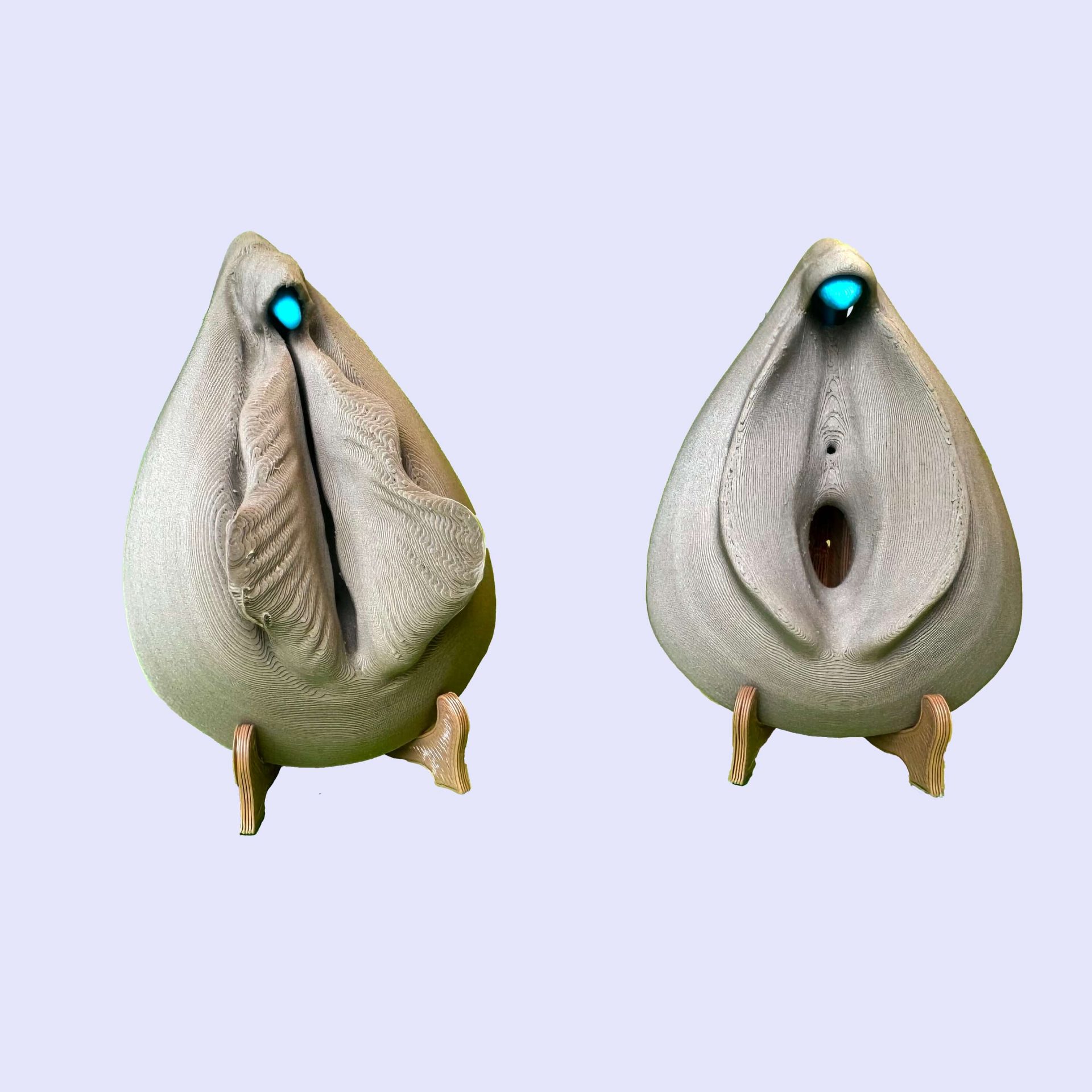 Kit sexe féminin complet – clitoris & vulve (repos / excitation) – Image 12