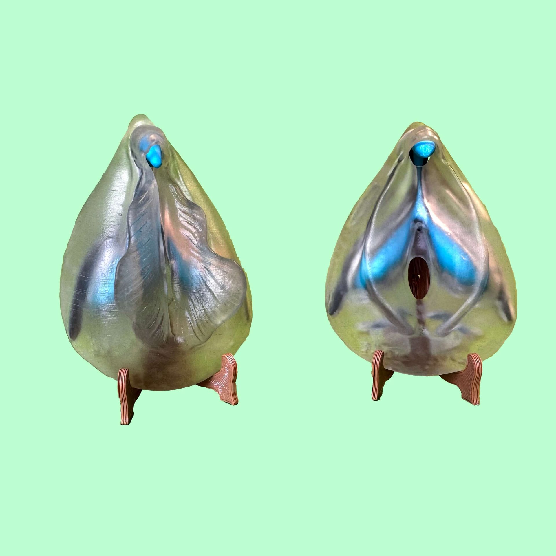 Kit sexe féminin complet – clitoris & vulve (repos / excitation)